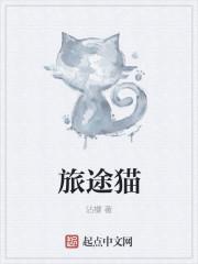 猫的旅途汉化版